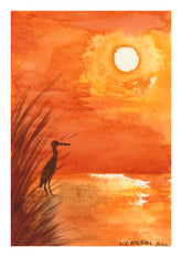 Brolga At Sunset