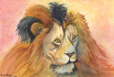 Banjo’s Lion