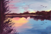 Reflections