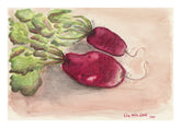 Two French Radish