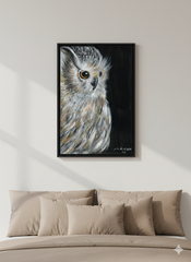 Night Owl