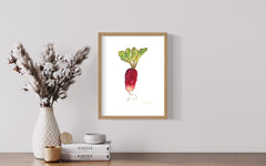 French Radish
