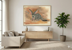 Bilby