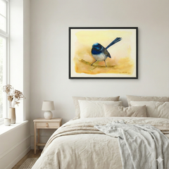 Blue Fairy Wren