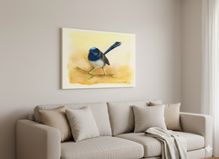 Blue Fairy Wren