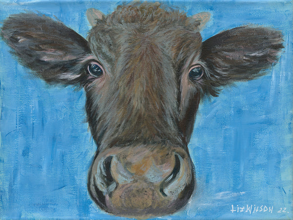 Bluey The Wagyu Calf