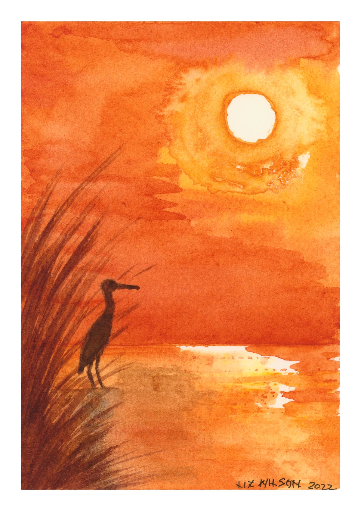 Brolga At Sunset