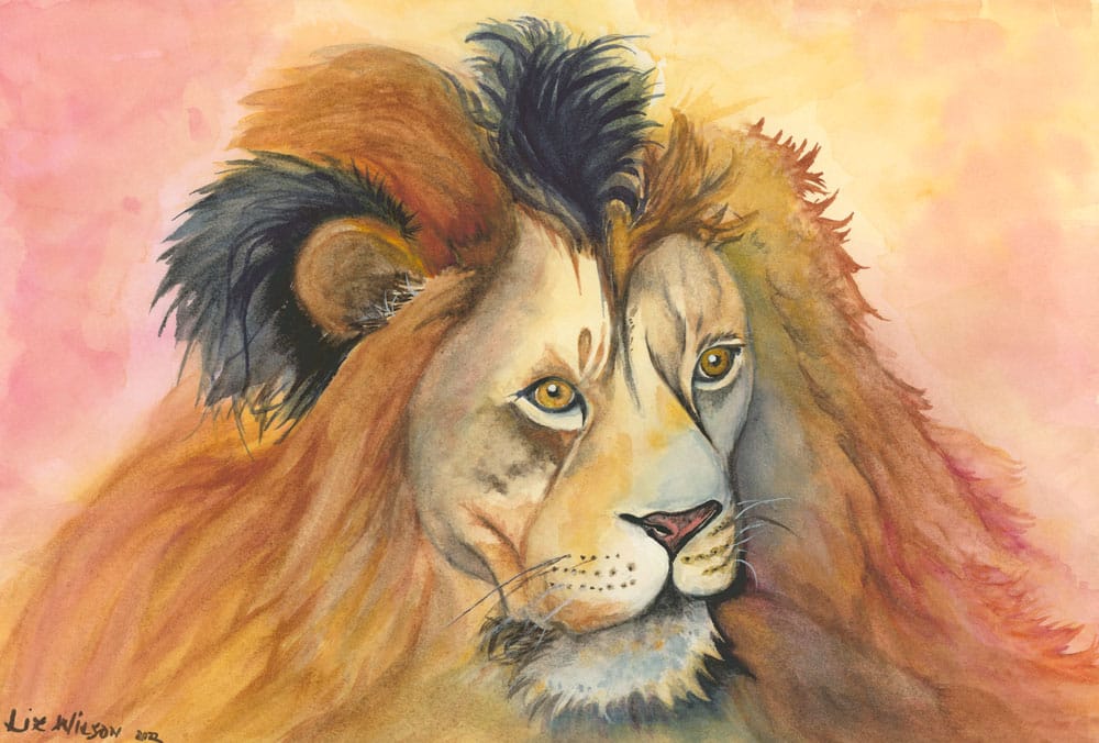 Banjo’s Lion