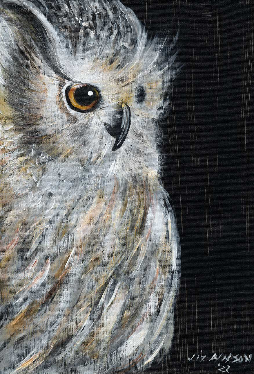 Night Owl