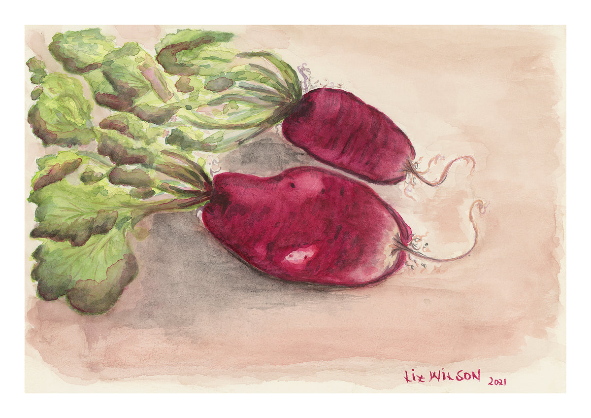 Two French Radish