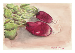 Two French Radish