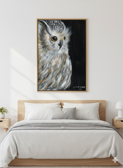 Night Owl