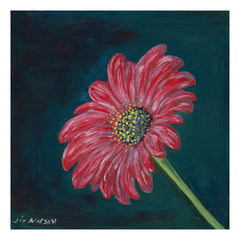 Magenta Gerbera, Liz Wilson watercolour